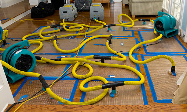 Professional Sewage Cleanup technician working in North Andover, MA